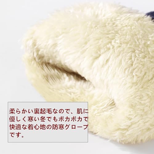 不明 スキーグローブ メンズ の商品画像 8