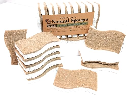 Image of Graham & Ash Co Natural Kitchen Sponge - Biodegradable Compostable Cellulose and Coconut Scrubber - Pack of 10 Eco Friendly Sponges