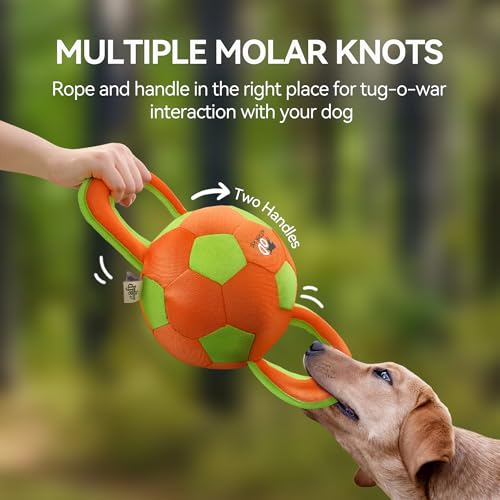 ALL FOR PAWS Handle Ball - Haltbares Hundespielzeug mit Quietscher, Hartes Hundespielzeug für aggressiv beißende Hunde, interaktives Spielzeug, Farbauswahl