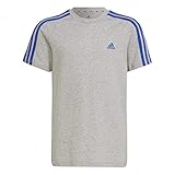 adidas 3S T-Shirt Mgreyh/Royblu 152