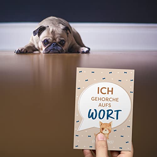 Kipitan Geschenk für Hundebesitzer: 30 Meilensteinkarten für Hund, Frauchen & Herrchen – als Hundetagebuch und Erinnerung an das erste gemeinsame Jahr