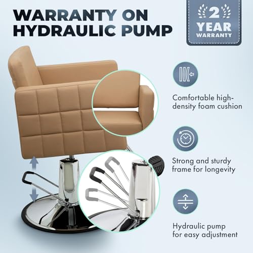 Professional Salon Barber Chair Hydraulic
