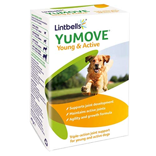 Yumove Lintbells Young and Active Dog Joint Supplements- (Pack of 1) 60 Tablets, bundle with Tote Bag