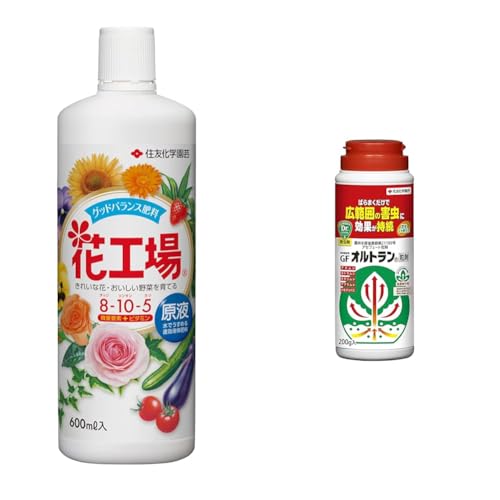 yZbgzZFw| 엿 ԍHꌴt 600ml+E ƒ뉀|pGFIg 200g