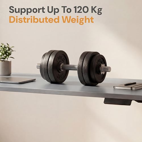 Image of Table Top for Office, Study & Standing Desk - Pre-Laminated Engineered Wood, Matte Finish, Scratch & Spill Resistant, Load up to 120 kg - Rectangle Desk Top (Gothic Grey, 48x24 inches)