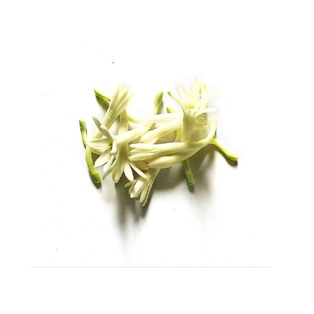 Fresh Gulchadi/Tuberose, 100 g