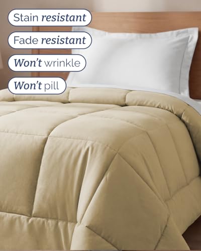Image of Twin Size, Beige Alternative Down Comforter - Warm, Lightweight & Breathable Hotel Quality Bedding Set for Men, Women, Kids and Teens - All Season Oversized Cooling Microfiber Duvet Insert Comforter