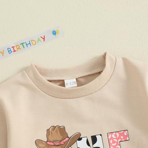 Baby Boy Birthday Outfit Short Sleeve Bubble Romper Silly Goose Shirt Bodysuit Cute Summer Farm Clothes4