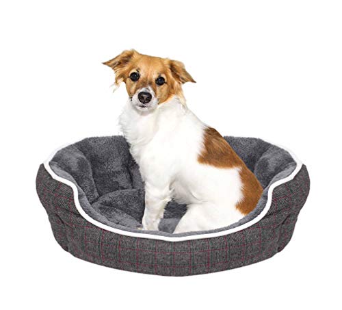 Sogni e Capricci Cuccia Scotland, Mixed, 59 x 53 x...