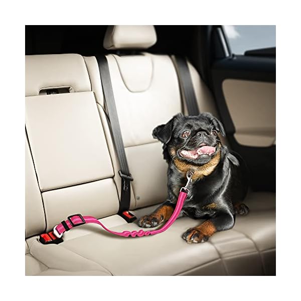 Car Travel Accessories for Dogs