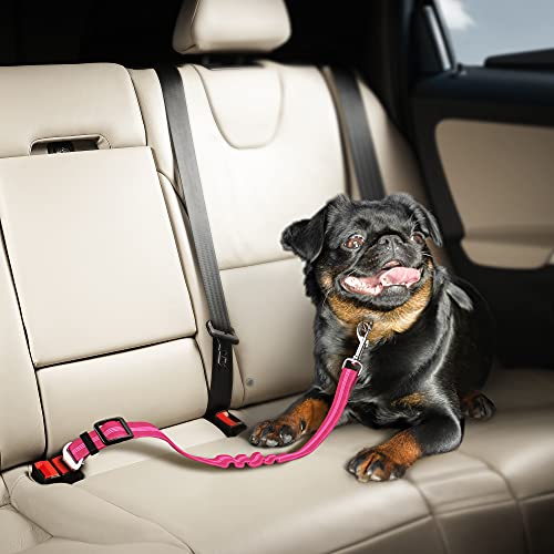 Seat Belt for Dogs with Elastic Bungee Buffer | Car Travel Accessories for Dogs Adjustible, Elastic (Pink)