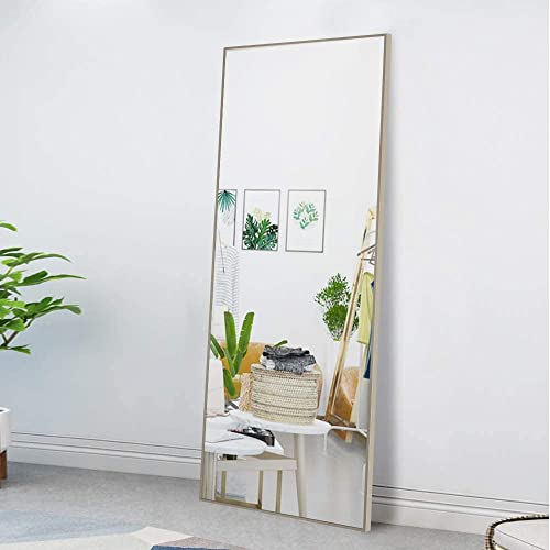 Image of NeuType Full Length Bedroom Wall-Mounted Floor Mirror with Standing Holder (Matte Champagne)
