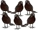 Prextex Halloween Black Feathered Small Crows – 6 Pc Black Birds Ravens Props Décor Halloween Decorations Birds