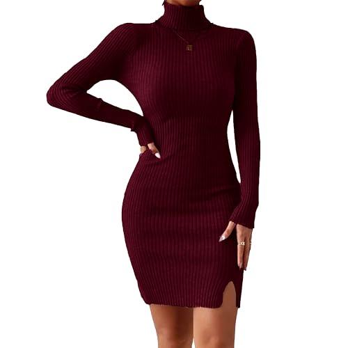 Image of GLARE & BLAIR Solid Turtle Neck Regular Fit Casual Ribbed Knit Long Sleeve Bodycon Dress for Women