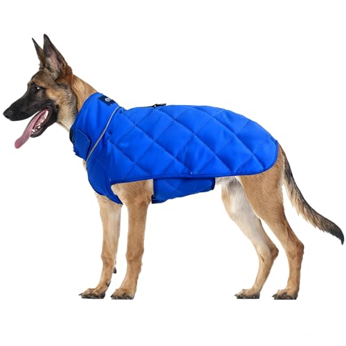 HCHYEY Weighted Dog Vest, Tactical Weight Coat with Beads for Dogs Anxiety- Relieve Stress, Build Muscle & Optimize Health, Premium Heavy Duty Dog Training Jacket for Exercise and Strength (Blue, M)