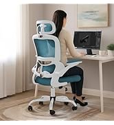 DROGO Premium Ergonomic Office Chair for Work from Home, High Back Computer Chair with Adjustable...