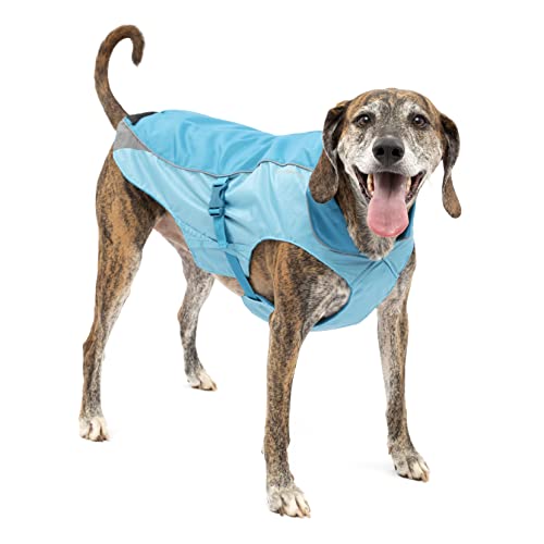 patagonia dog sweatshirt