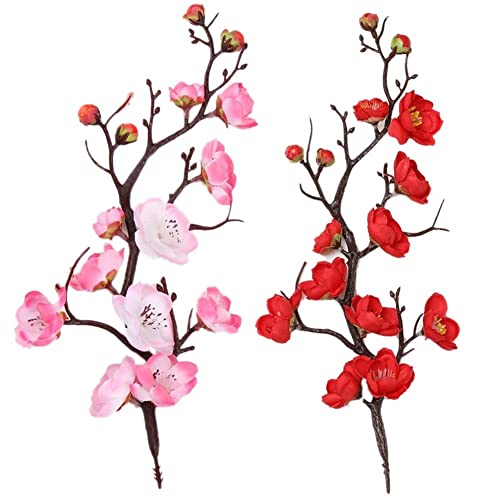 lH ~̉ ̎} VN t[ c[ t t[obh EFfBO p[eB[  30cm 2 +sN