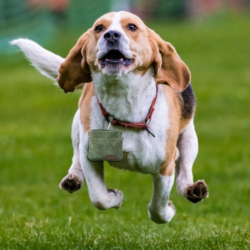 Bremorou Leckerlibeutel für Hunde, Futterbeutel Hund Snackbeutel Hund Freihändige Schwarz Leckerlitasche Leckerli Beutel mit Karabiner Trainingstasche für Haustiere Hunde (Grün)