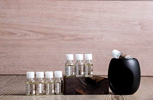 Pretty Valley Home - Black Decorative Oil Warmer