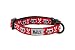 RC Pets Kitty Breakaway Cat Collar, Pirate Cat