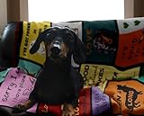 Zoom IMG-1 regali per bassotto donne uomini Zoom IMG-1 regali per bassotto donne uomini