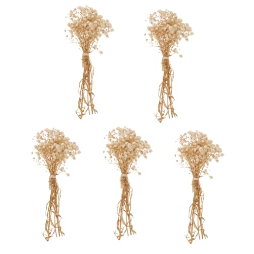 5 ramos secos de flor Gypsophila para decoración miniatura 1