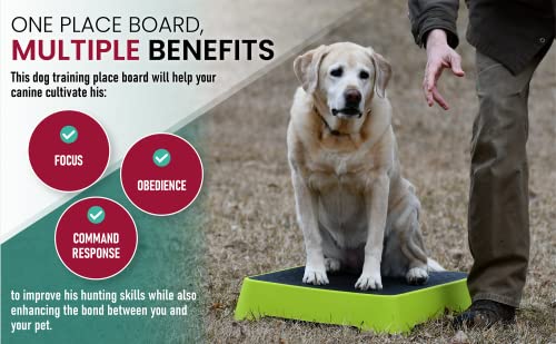 Huntmark Dog Training Place Board - Durable Hunting Dog Training Platform - Non-Skid Surface, Nonslip Feet - Stackable, Portable Dog Agility Platform - Modern Dog Training Equipment (Optic Yellow) #TOP5