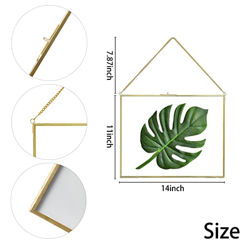 Jajamy 11X14 Inch Pressed Flowers Glass Picture Frames For Artwork Certificate, Horizontal Gold Brass Double Glass Clip Frame, Wall Hanging Dried Flower Plant Specimen Vintage Modern Geometric Decor #TOP4