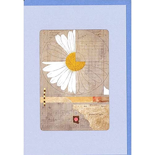 グリーティングカード 風水 ウィンドウシリーズ「デイジーのコラージュ」 窓付き 花 イラスト メッセージカード 輸入雑貨