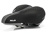 XLC
