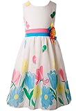 Ipuang Fashion Big Girl's Party Dress Butterfly and Flower Print 10 Blue