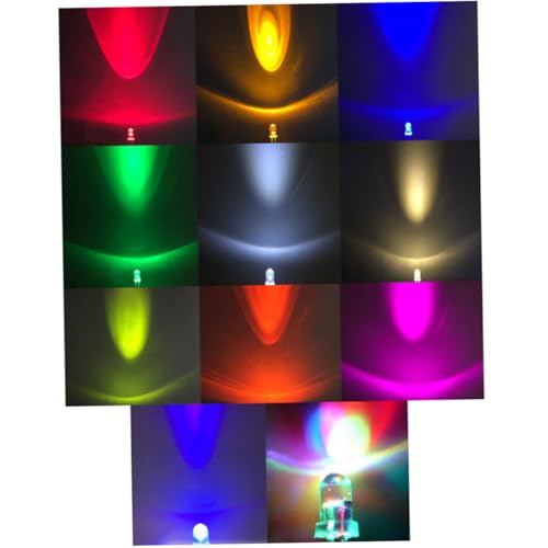 AGFELO 50 ztی^ sNF d ϘV ȒP͂񂾕t J[pCgv