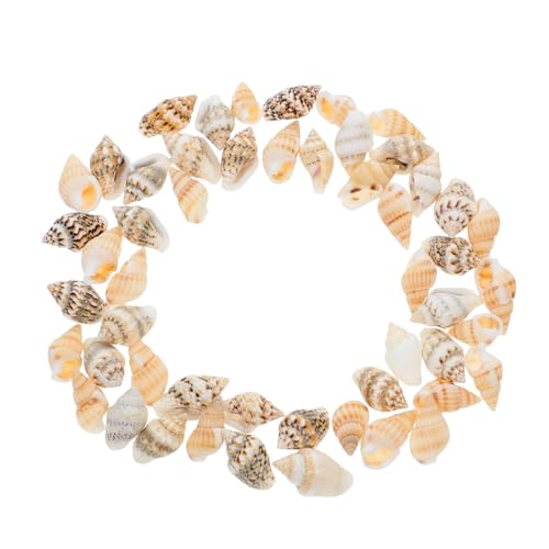 STOBAZA 50pcs Realistic Mini Seashells Decor Beach Props DIY Craft Materials for Landscape Decorations