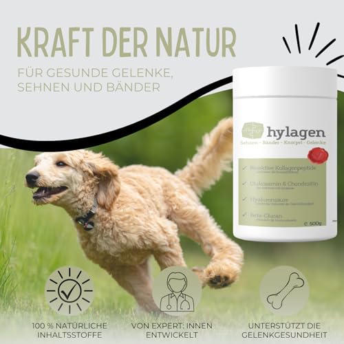 FARRADO I Hylagen Pulver 500g Collagen & Hyaluron I Gelenkpulver für Hunde