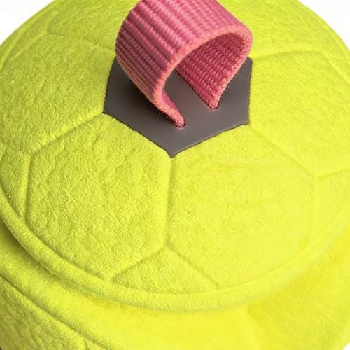 Balles pour chiens avec corde de mastication interactive pour chiots