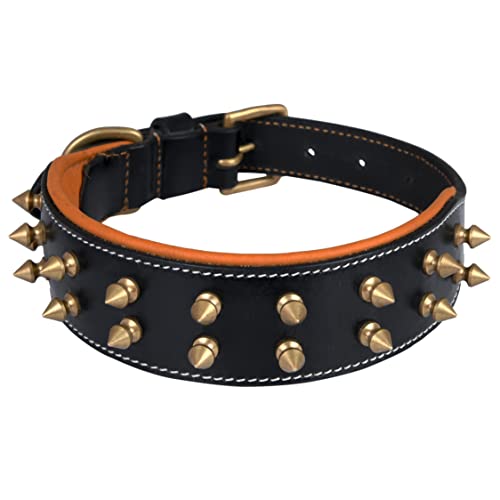 DowgClub, Black - Gold Spikes, M (Fit Neck Size 14.5"-18.5") - Image 2