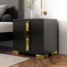 Furniture of America Ansten Modern Contemporary Solid Wood 23-inch 2-Drawer Nightstand with Dust Proof Cases, Acrylic Trim, Easy Assembly for Bedroom, Guest Room, Black and Gold