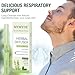 MYMYDE Herbal Mullein Diffuser Pen -Thyme & Mint Extract-Designed for Lung Detoxification and Oral Freshness-Soothing Relaxation Sticks - Quit Smoking -Your Choice for Health and Aromatherapy