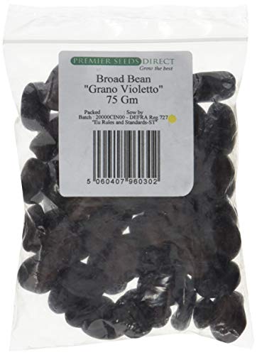 PREMIER SEEDS DIRECT - BROAD BEAN - GRANO VIOLETTO - 75GM - APPROX 50-65 SEEDS - WINTER HARDY