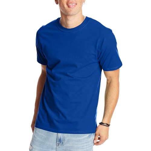 Hanes mens Beefy Heavyweight Short Sleeve T-shirt (1-pack) fashion t shirts, Deep Royal, X-Large US