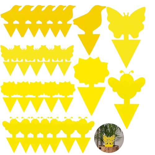 50 Piezas Atrapamoscas Adhesivos, Trampa de Moscas Enchufables Trampas Pegatinas Mosquitos contra Pulgones Mosquitos, para Plantas en Macetas de Jardín