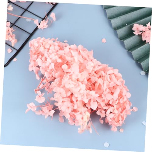 Hojas de Hortensia Secas Rosadas Naturales para Decoración miniatura 3