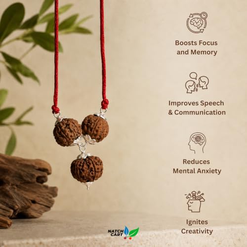 Image of Siddha Mukhi Pure Rudraksha, Laboratory Certified, Carefully Capped with Silver Between Nepalese Beads With Handmade Tassel, Size 16mm-22mm, Color-Brown-Saraswati Rudraksha Kawach Silver (4+4+6)