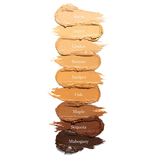 Sculpted Complexion Stick (Maple 9.0W - Medium Deep, Golden Bronze Undertones) #TOP4