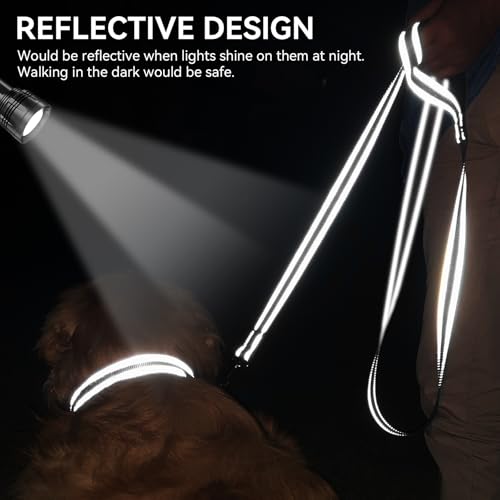 Joytale Hundeleine Kleine Hunde Leicht, Doppelseitig Reflektierende Leine Hund aus Nylon mit Gepolstertem Griff, 1,5m x 2cm, Schwarz