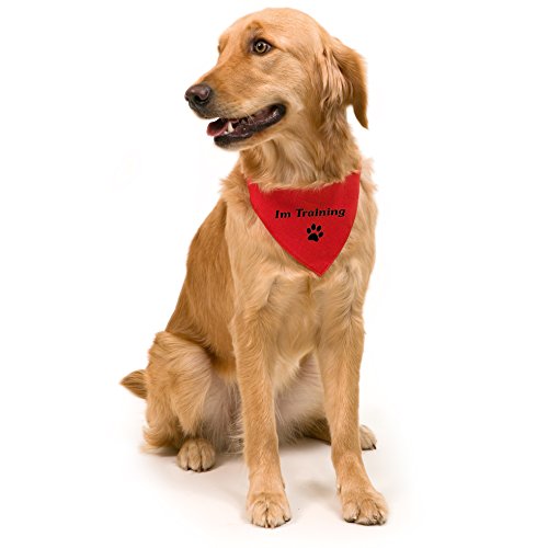 Hunde-Halsband mit Dreiecks-Tuch IM TRAINING, längenverstellbar von 32 - 55 cm, aus Polyester, in rot
