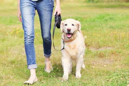 Image of Compostable Dog Poop Bags, Earth-Friendly 9x13 Inches Pack of 270 Rolls, 100% Leak Proof and Extra-Thick