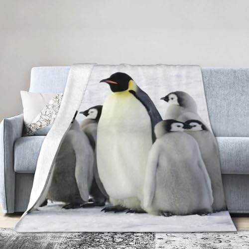 uPbg cyMƎq [΍ tl ӂӂ _炩G y \ ÓdCh~ lGKp