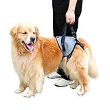 ZIDUEBIL 【Upgraded】 Dog Lift Harness for Large Dogs Support Up to 110lb with Handles Locks - Quick-Release Adjustable Mobility Support Harness for Arthritis Surgery Recovery Disabled Elderly Dogs (L)
